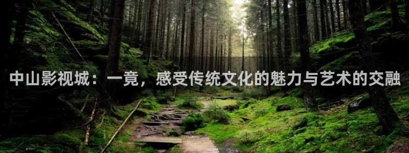 八戒八戒5在线观看免费高清电影：中山影视城：一竟，感受传统文化的魅力与艺术的交融
