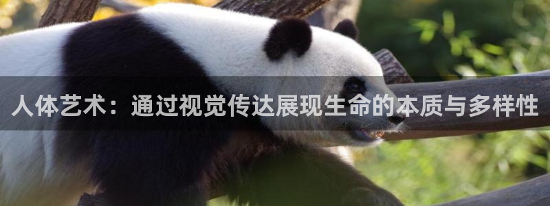 八戒秋霞电影：人体艺术：通过视觉传达展现生命的本质与多样性