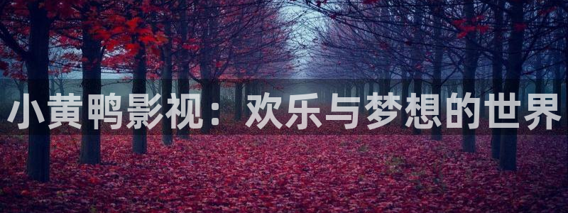八戒网影院在线观看：小黄鸭影视：欢乐与梦想的世界