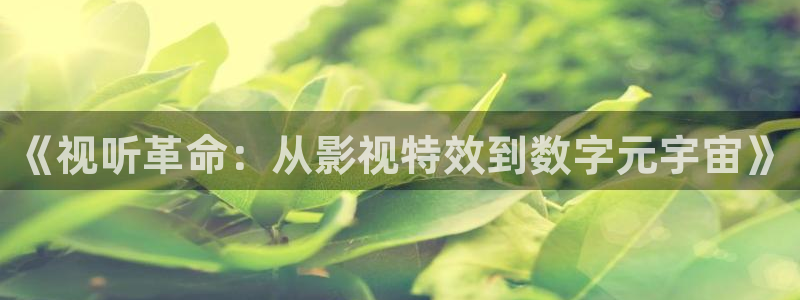 影院 八戒：《视听革命：从影视特效到数字元宇宙》