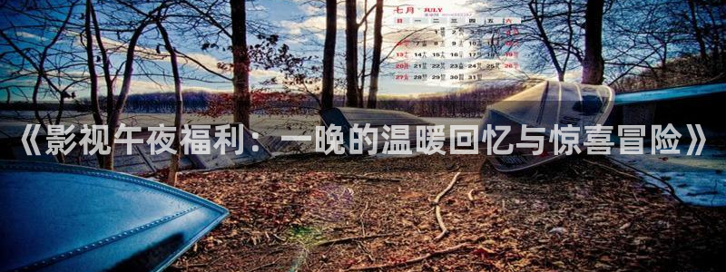 八戒影院2021：《影视午夜福利：一晚的温暖回忆与惊喜冒险》