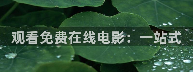 八戒八戒电影免费播放高清：观看免费在线电影：一站式